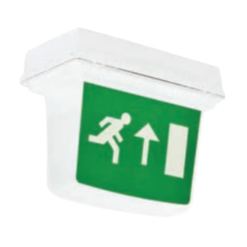 ZELLEGDB-ISO Zetalite 3 Pictograma ISO Dubla