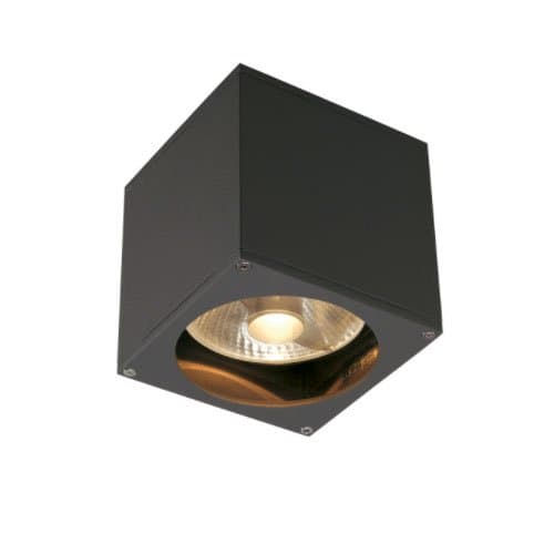 Aplica SLV Big Theo, GU10, antracit, IP44
