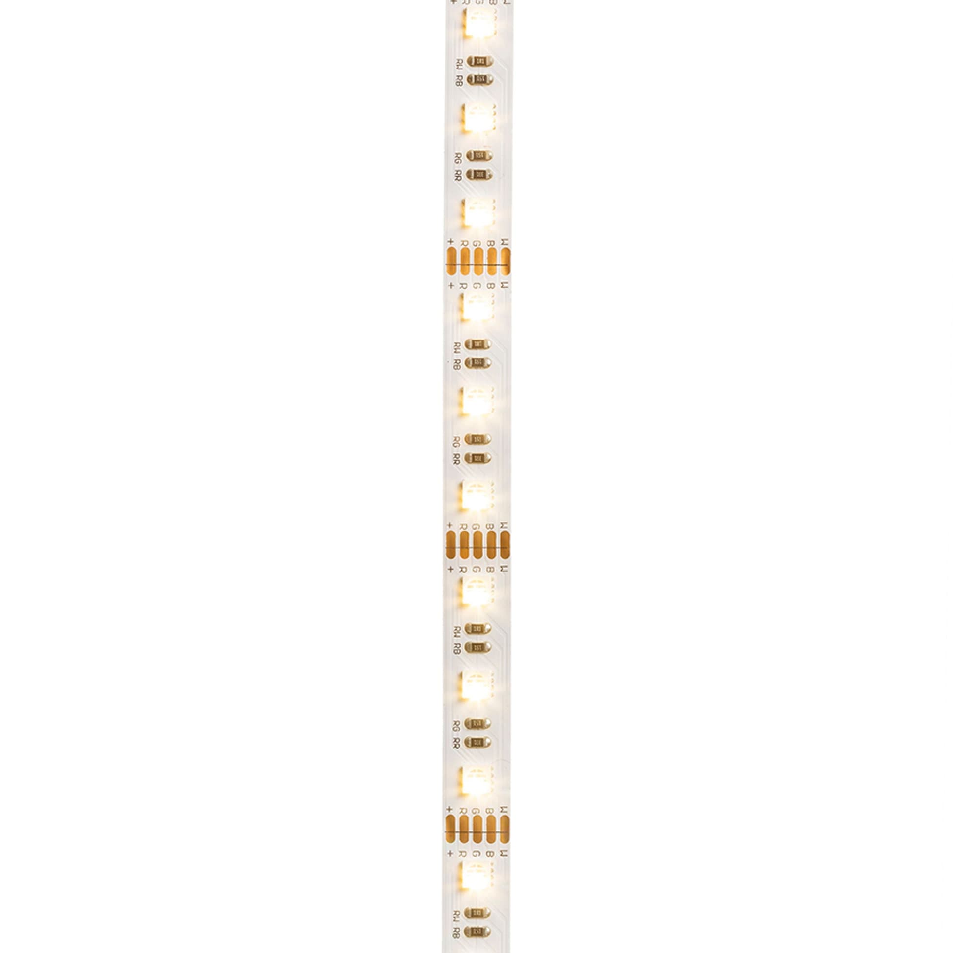 Bandă LED Rendl Orion RGBW 5 m, 12V, 96W, 120°