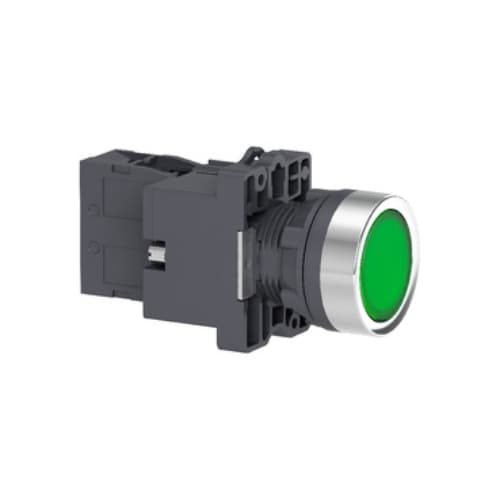 XA2EW33B1 Buton iluminat 24V AC/DC 1NO Verde