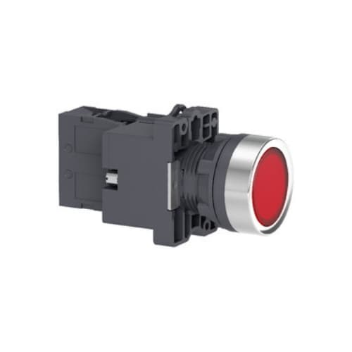 XA2EW34B1 Buton iluminat 24V AC/DC 1NO Rosu