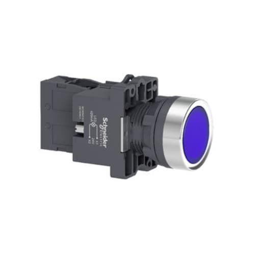 XA2EW36B1 Buton iluminat 24V AC/DC 1NO Albastru